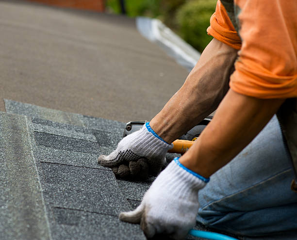 Best Gutter Installation and Roofing  in Hoopers Creek, NC